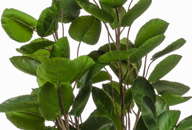 Künstliche Pflanze mit grünen Blättern und braunem Stamm in schwarzem Kunststofftopf.