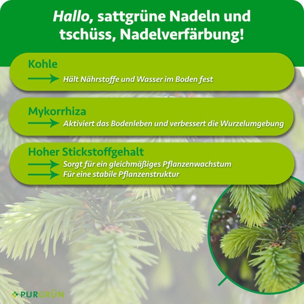 Produktvorteile von Koniferendünger mit Kohle, Mykorrhiza und Stickstoff für gesundes Wachstum und gegen Nadelverfärbungen bei Nadelgehölzen.