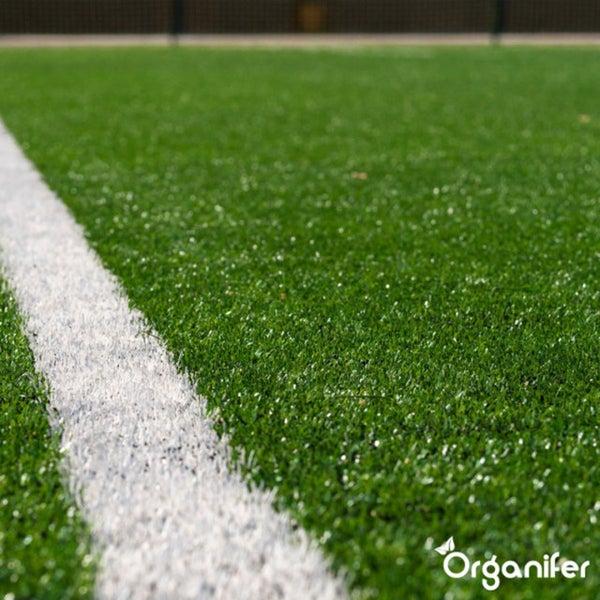 Pro Turf & Rasen Dünger - Phasenweise Freisetzung (5 kg für 165 m2) - Organifer