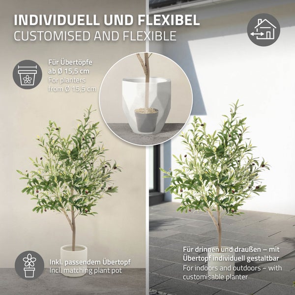 Dekorativer Olivenbaum im Topf für den Innen- und Außenbereich