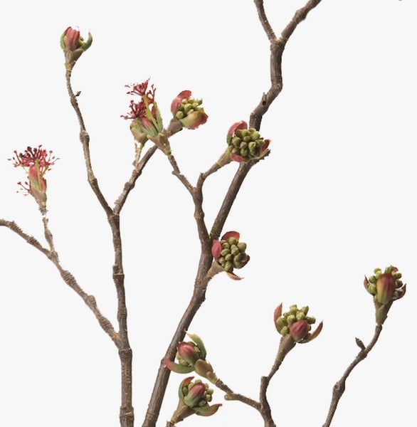 Künstlicher Dekorationszweig mit Blütenknospen und jungen Blüten.