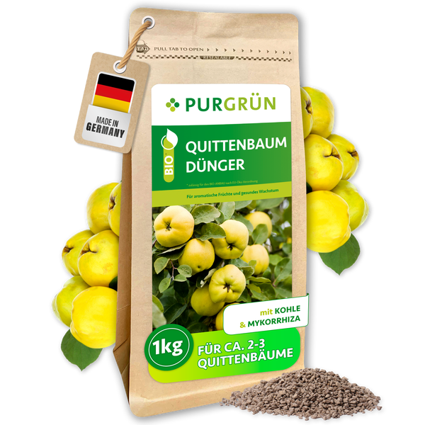 Purgrün Logo, Bio-Quittenbaumdünger, 1 Kilogramm Packung mit Kohle und Mykorrhiza, hergestellt in Deutschland, für circa zwei bis drei Bäume.
