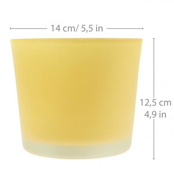 Gelber Übertopf aus Glas mit einem Durchmesser von 14 Zentimeter oben und einer Höhe von 12,5 Zentimeter.