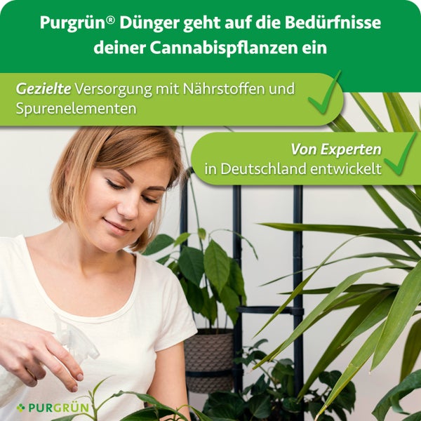Eine Frau besprüht ihre Cannabispflanze mit Purgrün Dünger, der für eine gezielte Nährstoffversorgung von Experten in Deutschland entwickelt wurde.