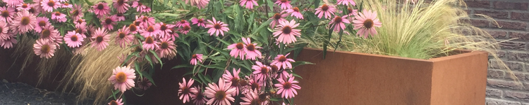 Rechteckiger Pflanzkübel aus Cortenstahl mit Sonnenhut und Ziergras vor einer Backsteinwand.