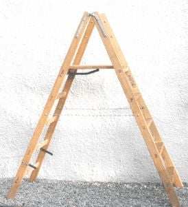 PROREGAL Stehbrettleiter Mit Hartholzstufen Made in Germany 7 Stufen Sprossen 2,42 m Länge Holzleiter Klappleiter