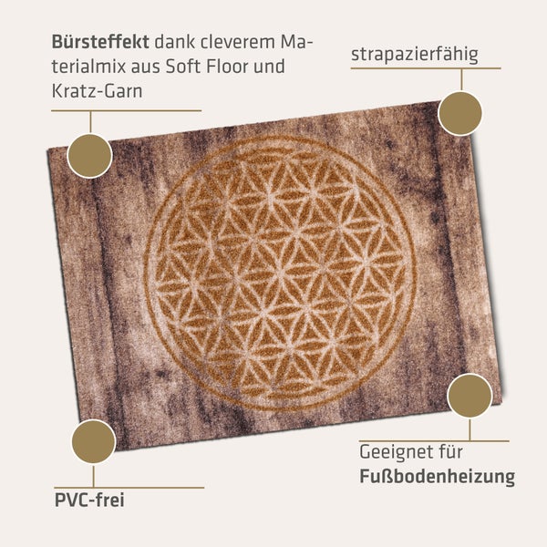 Akzente Listen Fußmatte 40 x 60 cm, Polyamid Monofilament, TPE Rückseite, Rutschfest, Tritt-Schall-Dämmend, PVC-frei, Schmutzfang, Wetterbeständig, Abriebfest