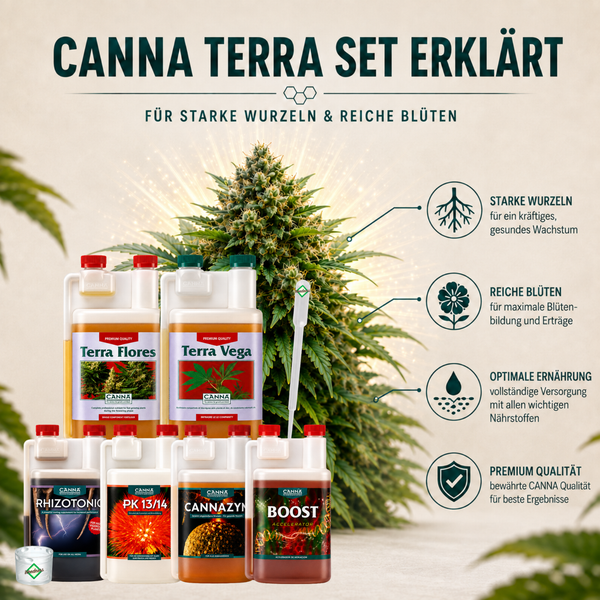 Infografik zeigt CANNA Terra Düngerset mit Terra Flores, Terra Vega, Rhizotonic, PK 13/14, Cannazym und Boost für starkes Wurzel und Blütenwachstum.