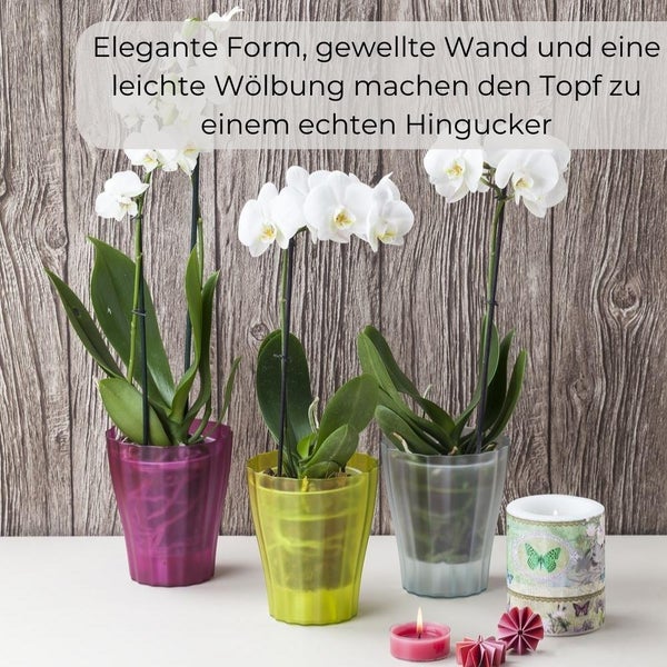 Orchideentopf Blumen Orchideen Übertopf transparent aus Kunststoff durchsichtig Elegant OLA Ø 16 cm glas