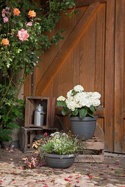 Scheurich Country Star 40, Pflanzgefäß/Blumentopf/Pflanzkübel, rund,  aus Kunststoff Farbe: Metallic Grey, 39 cm Durchmesser, 30 cm hoch, 21,5 l Vol.