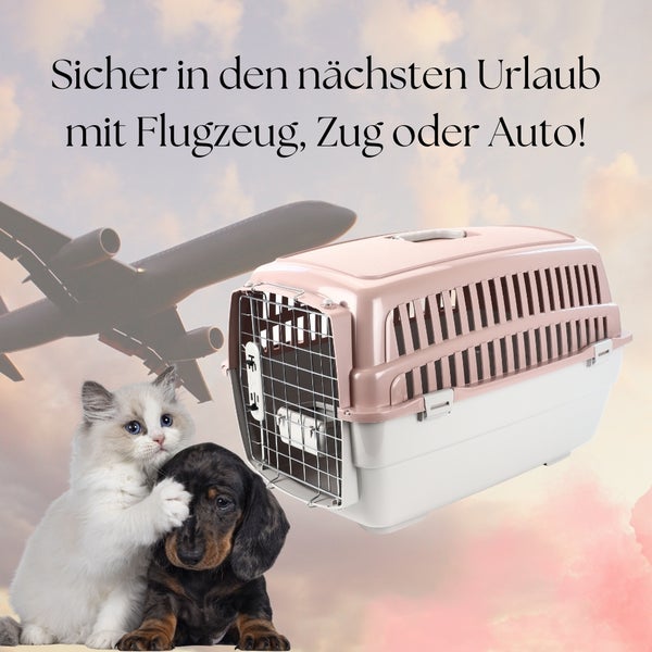 Transportbox IATA Flugbox Flugzeug Transport Auto Box Hunde Katzen Gr. L