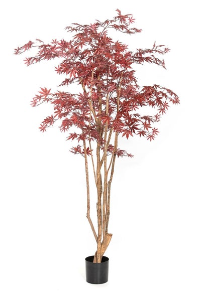 Gelbe Kunstlilie mit einer Blüte, einer Knospe und grünen Blättern am Stiel.
