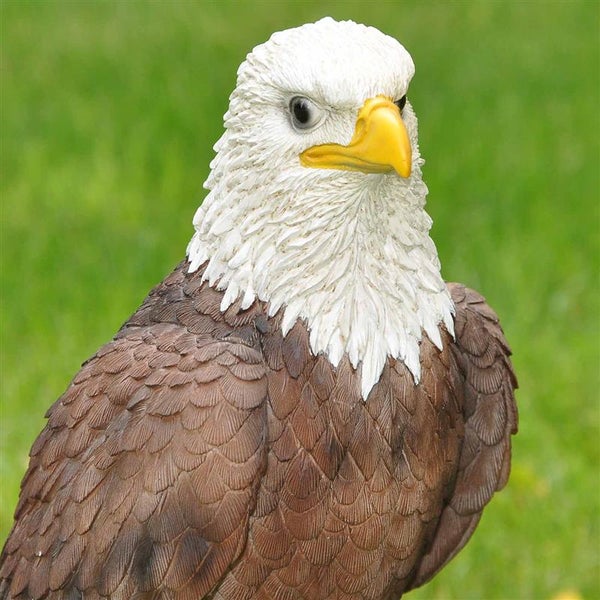 Dekofigur Gartenfigur Weißkopfseeadler