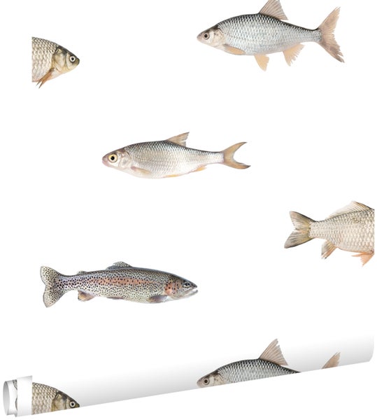 Tapetenrolle mit verschiedenen Fischmotiven