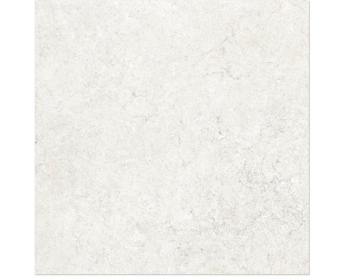 Wand- und Bodenfliese Jurassic avorio 60x60 cm