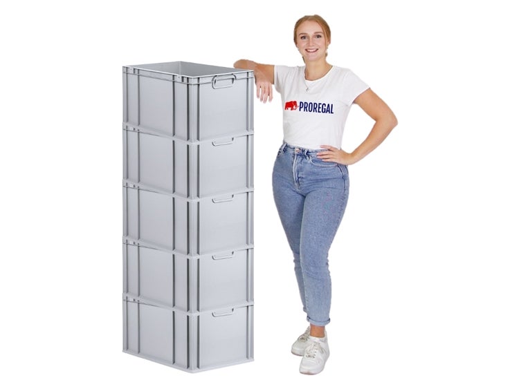 PROREGAL Spar Set 5x Eurobox Nextgen Economy Griffe Geschlossen HxBxT 32 x 40 x 60 cm 65 Liter Eurobehälter Transportbox Transportbehälter