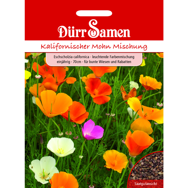 Kalifornischer Mohn leuchtende Farbmischung einjährig Saatgut von Dürr Samen