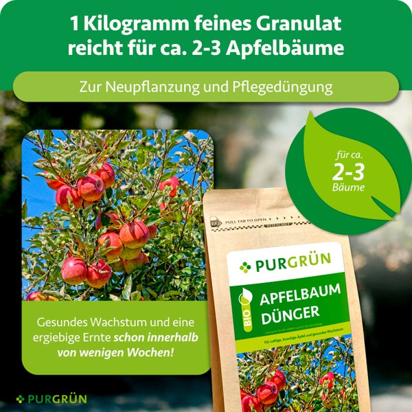 Purgrün Apfelbaum Dünger in einer 1 Kilogramm Packung, ausreichend für circa zwei bis drei Apfelbäume, für Neupflanzung und Pflegedüngung.