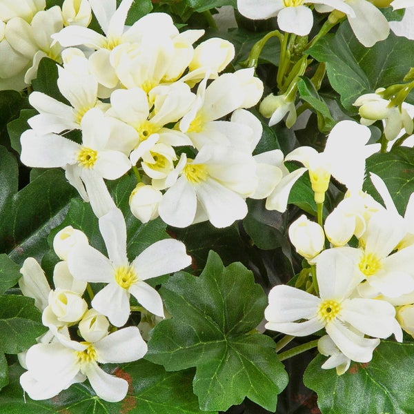 Künstliche Geranie mit weißen Blüten und grünen Blättern.