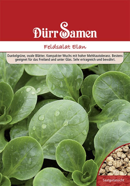 Samentüte für Feldsalat Elan von Dürr Samen mit Abbildung grüner Blätter und einer Detailansicht der Samen.