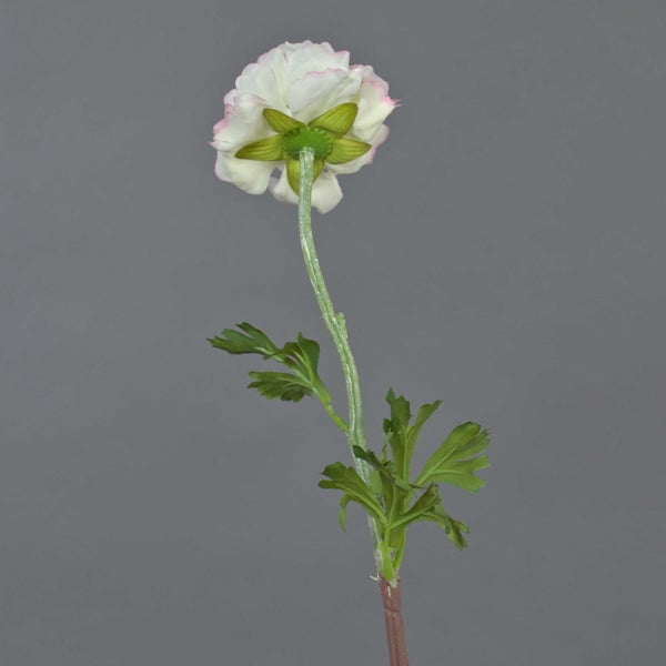 Künstliche Ranunkel mit weiß-rosa Blüte, grünem Stiel und Blättern zur Dekoration.