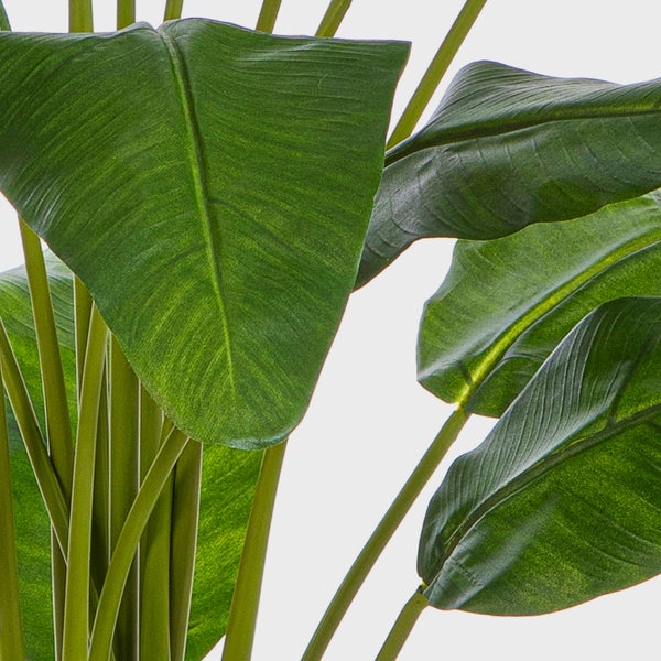Zwei künstliche Strelitzia Pflanzen in schwarzen Töpfen mit großen grünen Blättern.