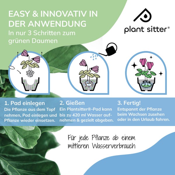PLANTSITTER®-Pad: Die effektive Bewässerungslösung für gesunde Pflanzen