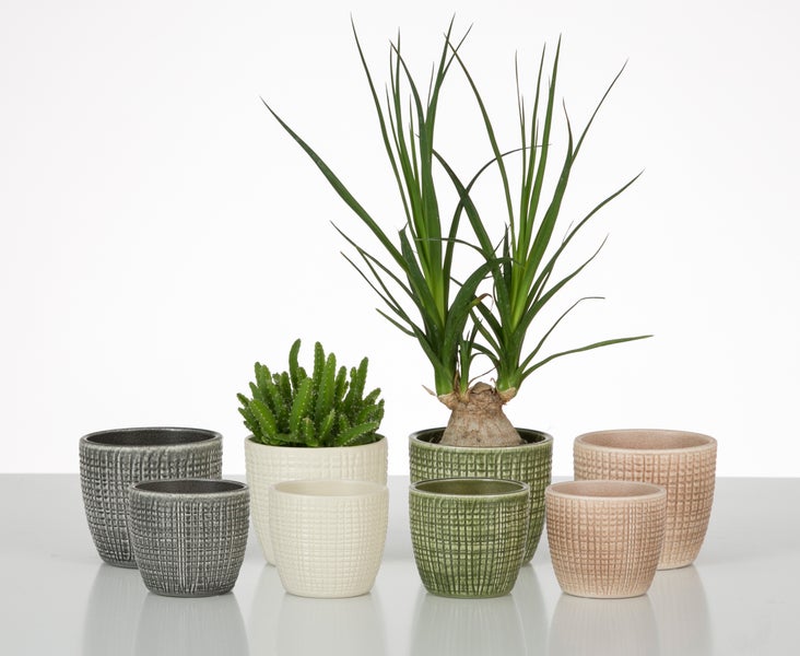 Scheurich Corteza, Blumentopf aus Keramik,  Farbe: Pimienta, 21,5 cm Durchmesser, 19,3 cm hoch, 4,9 l Vol.