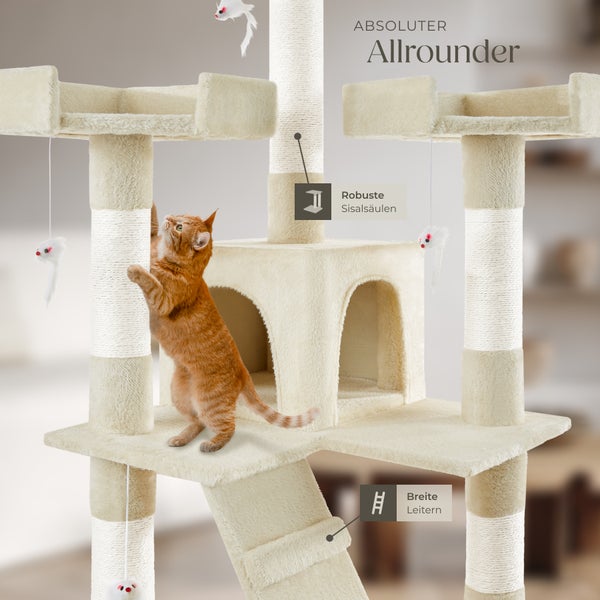 Katze klettert auf einen Kratzbaum mit stabilen Sisalsäulen und breiten Leitern