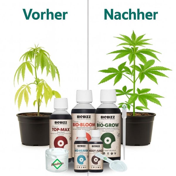 Biobizz Dünger-Set Vorher-Nachher-Vergleich an einer Pflanze mit Top-Max, Bio-Bloom, Bio-Grow, Bio-Heaven, Root-Juice, Messbecher und Pipette.