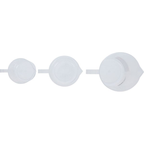 Nahaufnahme einer Rispenhortensie mit Blütenstand