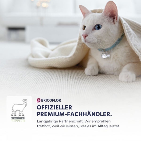 Weiße Katze auf einem hellen tretford Teppich. Bricoflor Logo, tretford Logo und Hinweis auf Status als offizieller Premium Fachhändler.