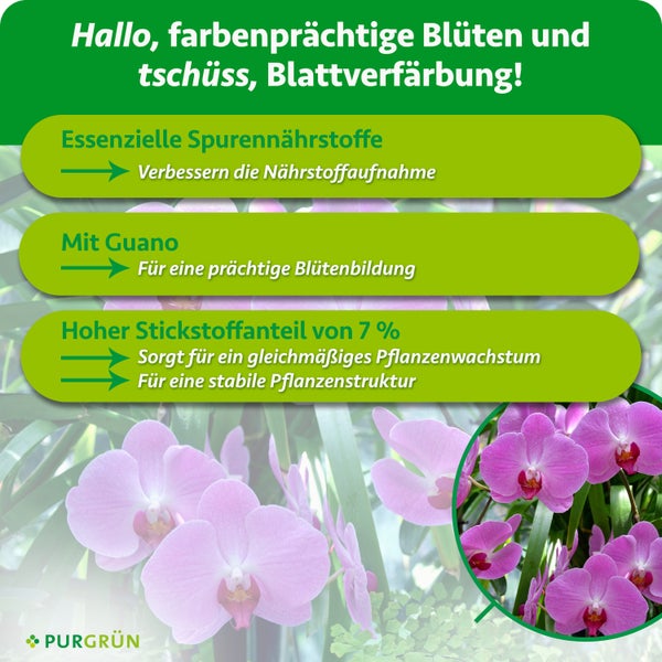 Infografik zum Purgrün Orchideendünger mit Vorteilen wie Spurennährstoffen, Guano und 7 Prozent Stickstoffanteil für blühende Orchideen.