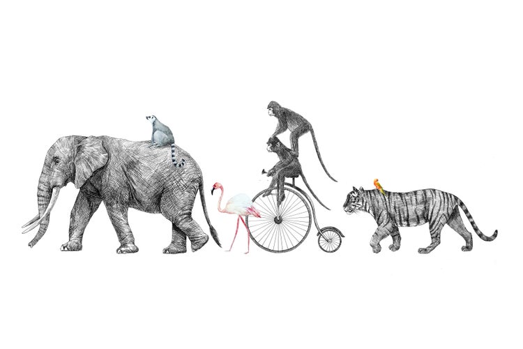 Wandbild mit einer künstlerischen Illustration von Elefanten, Affen auf einem Hochrad, einem Flamingo und einem Tiger, gezeichnet im Skizzenstil.