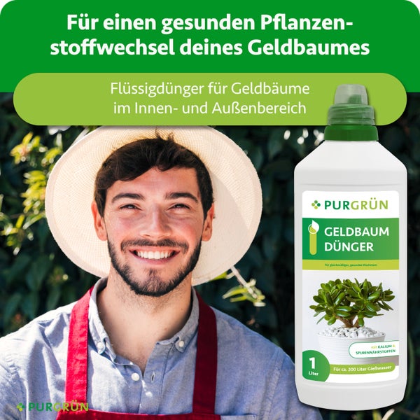 Purgrün Flüssigdünger für Geldbäume, 1-Liter-Flasche, mit einem lächelnden Gärtner mit Strohhut und Schürze vor Pflanzen.