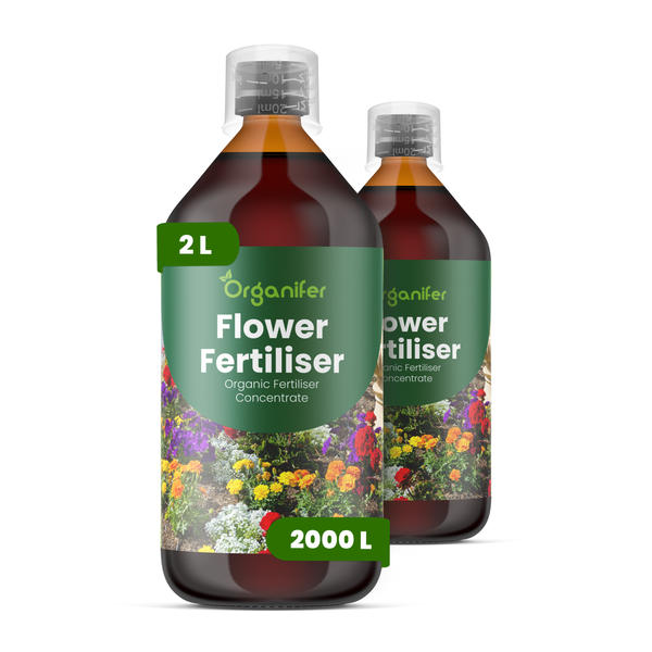 Zwei Flaschen Organifer Blumendünger Konzentrat, 2 Liter, biologisch, ausreichend für 2000 Liter Gießwasser.