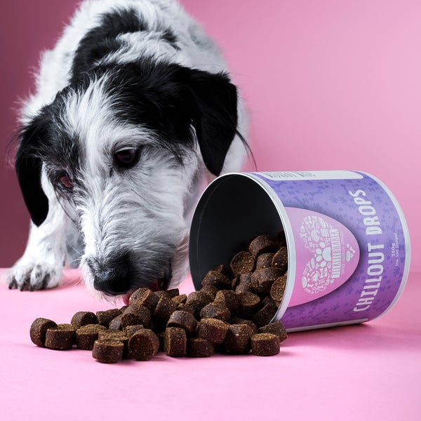 Chillout Drops - Funktionssnack und Nahrungsergänzung für Hunde - 350g