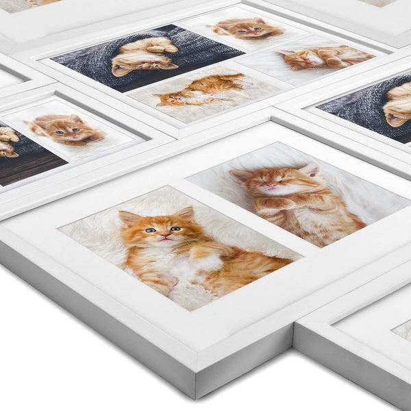 Weißer Bilderrahmen mit mehreren Ausschnitten für Fotos mit Motiven von Katzen
