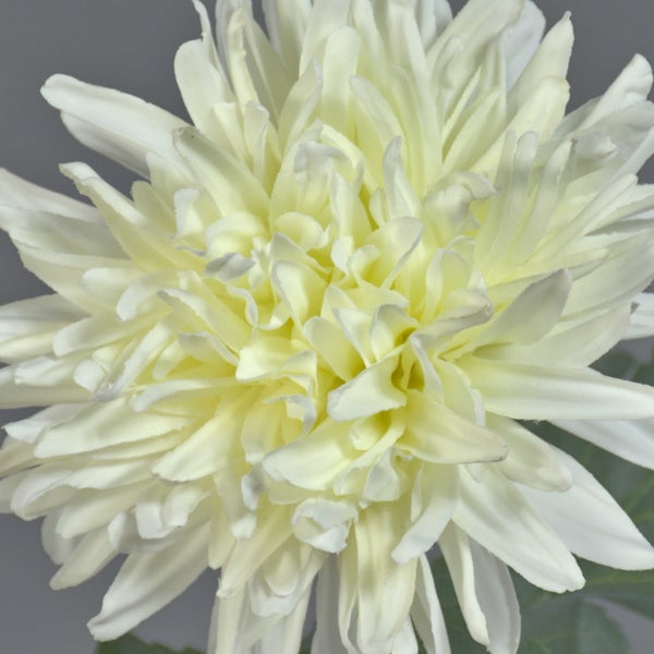 Künstliche Chrysantheme in Weiß mit vielen spitzen Blütenblättern.