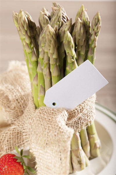 Asparagus officinalis, Spargel, ca. 11x11 cm Topf