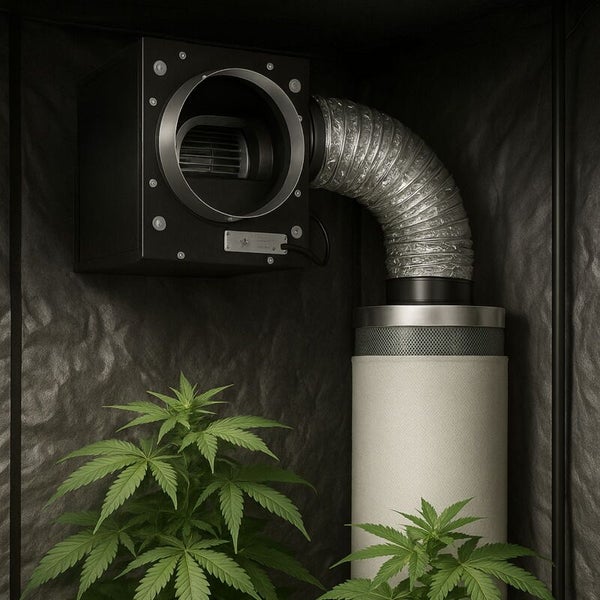 Lüftungsset für Growboxen mit schwarzem Rohrventilator, flexiblem silbernem Aluschlauch und einem Aktivkohlefilter über grünen Pflanzen.