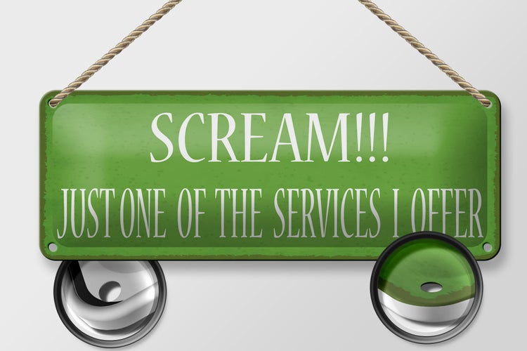 Blechschild Spruch 27x10cm scream just one of the services Dekoration