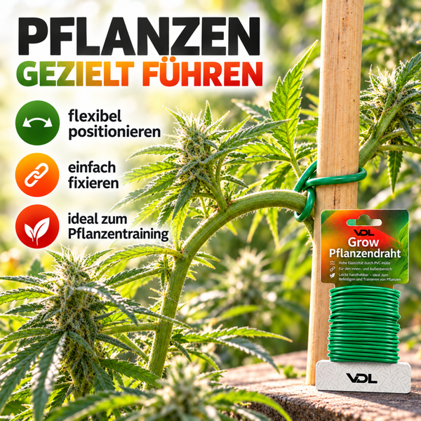VDL Pflanzendraht auf Rolle zur flexiblen Fixierung und zum Training von Pflanzen am Holzstab.