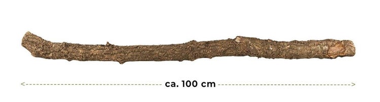 Naturbelassener Holzast, Länge circa 100 Zentimeter.