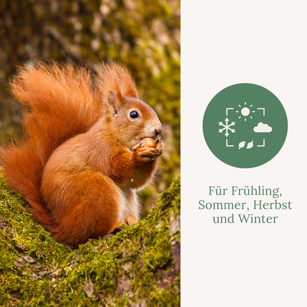 Orni Nüsse-Mix für Eichhörnchen 1kg