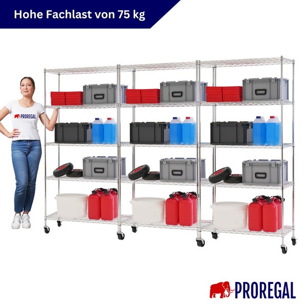 Mobiles Proregal Drahtregalsystem mit drei Sektionen auf Rollen und einer Fachlast von 75 Kilogramm pro Boden. Proregal Logo.