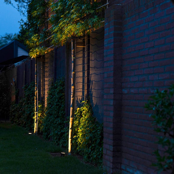 Außenbeleuchtung im Garten mit Bodenspots, die Baumstämme und Laub an einer Ziegelwand und einem Zaun bei Nacht anstrahlen.