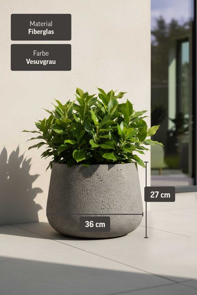 Pflanzkübel aus Fiberglas in Vesuvgrau mit Pflanze, Durchmesser 36 Zentimeter, Höhe 27 Zentimeter.
