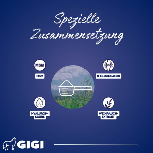 Zusammensetzung mit MSM, D-Glucosamin, Hyaluronsäure und Weihrauchextrakt
