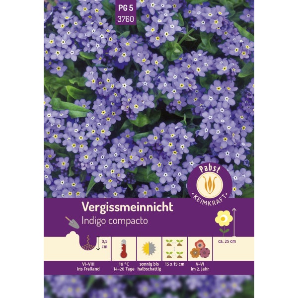 Vergißmeinnicht Indigo compacto Samen von Pabst Keimkraft